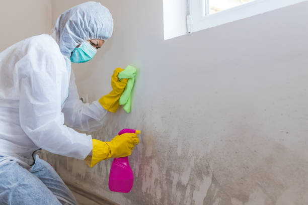 Forensic Mold Investigation in Kidron, OH